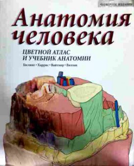 Книга Гослинг Анатомия человека Цветной атлас и учебник анатомии, 11-12127, Баград.рф